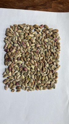 مغز پسته کال